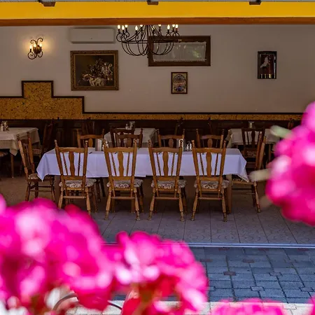 Bed and breakfast Friskó Panzió Zalakaros